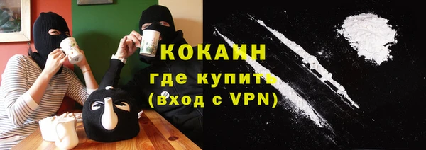 PSILOCYBIN Аркадак