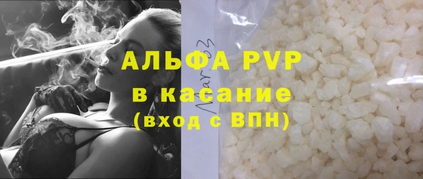 PSILOCYBIN Аркадак