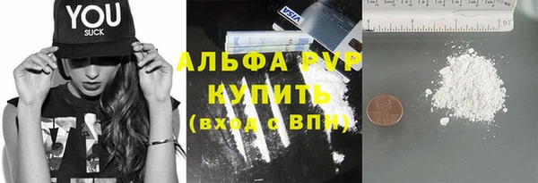 PSILOCYBIN Аркадак