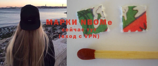 шишки Алексин
