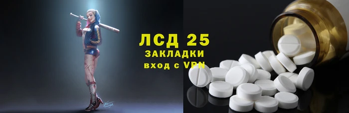 PSILOCYBIN Аркадак