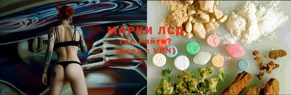 PSILOCYBIN Аркадак