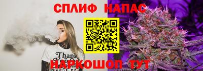 твердый Тара