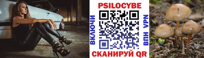 где купить наркоту  Сибай  Псилоцибиновые грибы мухоморы 